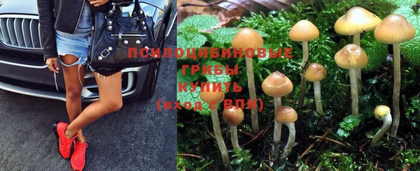 гашик Белокуриха
