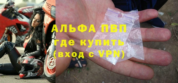 гашик Белокуриха